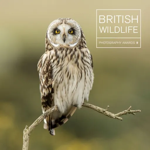 British Wildlife Photography Awards 9 - Maggie Gowan