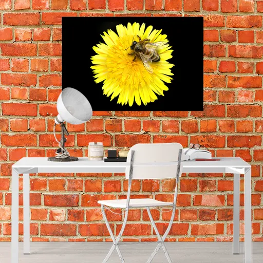 Obraz Včela na pampelišce (Rozměr obrazu: 90x60)