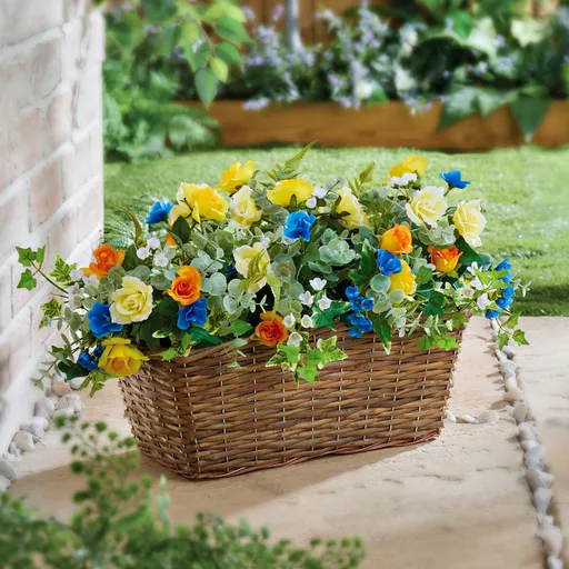 Truhlík s růžemi a petúniemi