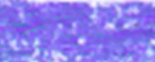 Suchý pastel Renesans – 70 Ultramarin tmavý