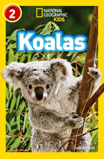 Koalas - Laura Marsh