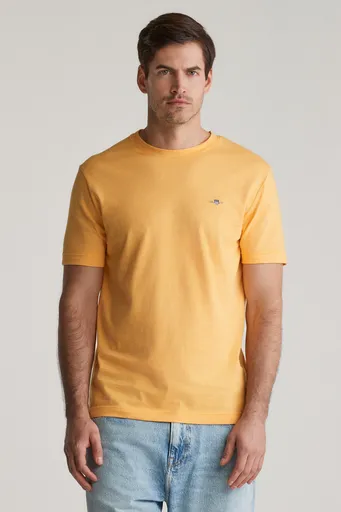 TRIČKO GANT SMALL STRIPE T-SHIRT DAFFODIL YELLOW