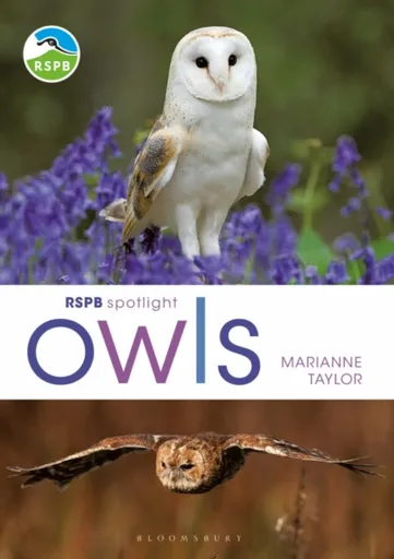 RSPB Spotlight Owls - Taylor Marianne