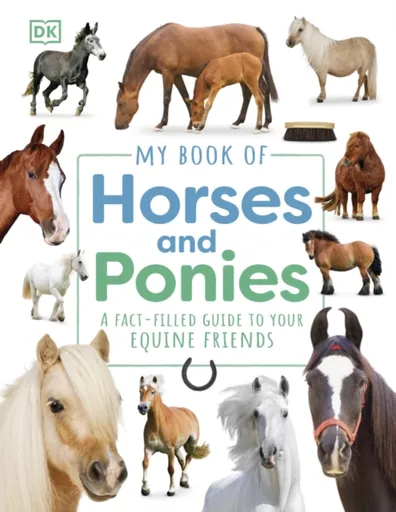 My Book of Horses and Ponies - DK
