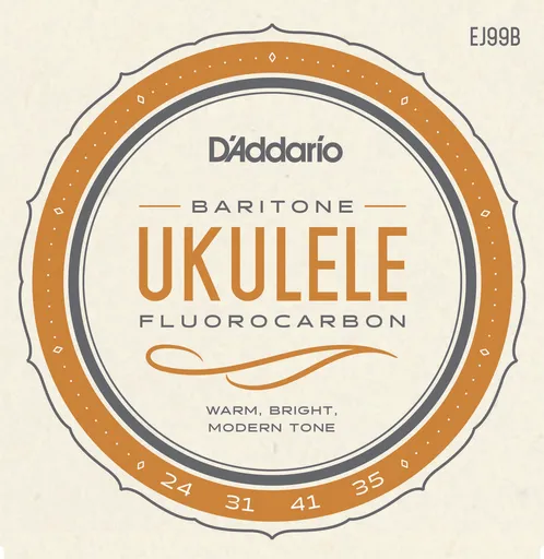 D'Addario EJ99B