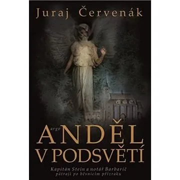 Anděl v podsvětí (978-80-257-3410-0)