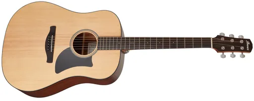 Ibanez AAD50 Natural