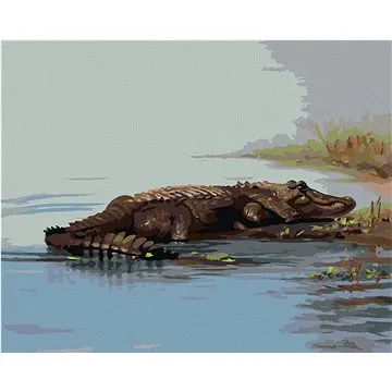 Zuty - Malování podle čísel - ALIGÁTOR LEŽÍCÍ VE VODĚ (D. RUSTY RUST), 80x100 cm, vypnuté plátno na  (HRAmmb04035nad)