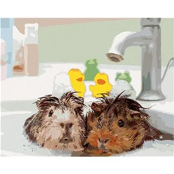 Morčata ve vodě, 80×100 cm, vypnuté plátno na rám (6055403)