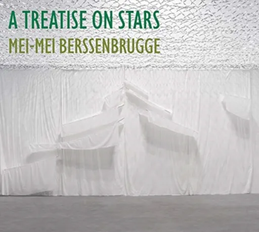 A Treatise on Stars - Mei-Mei  Berssenbrugge
