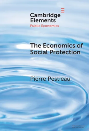 The Economics of Social Protection - Pierre  Pestieau