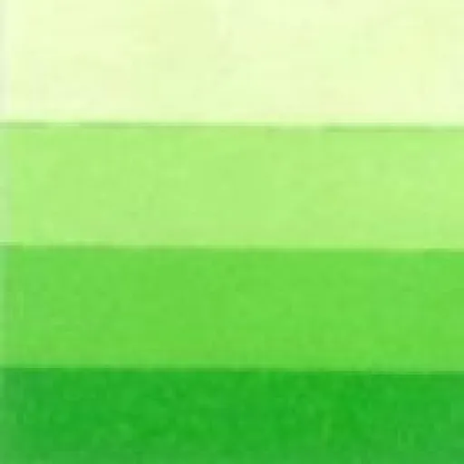 Grafická barva Charbonnel 200ml – spring green