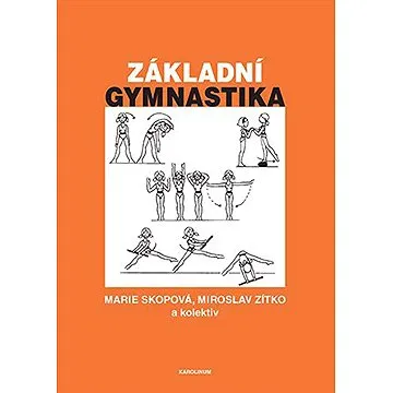 Základní gymnastika (9788024653877)