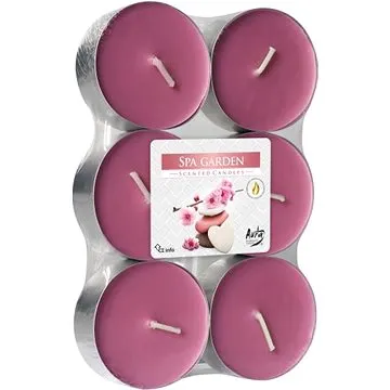 BISPOL maxi Spa Garden, 6 ks (5906927031569)