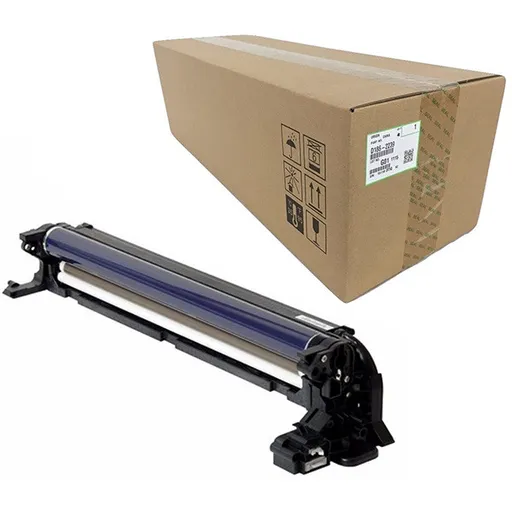 RICOH D1862239 - originální