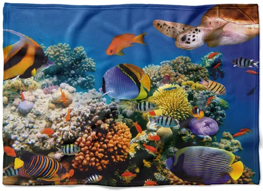 IMPAR Fleecová deka Rybičky 150x120 cm (Rozměr : 150 x 120 cm, Podšití beránkem: NE)