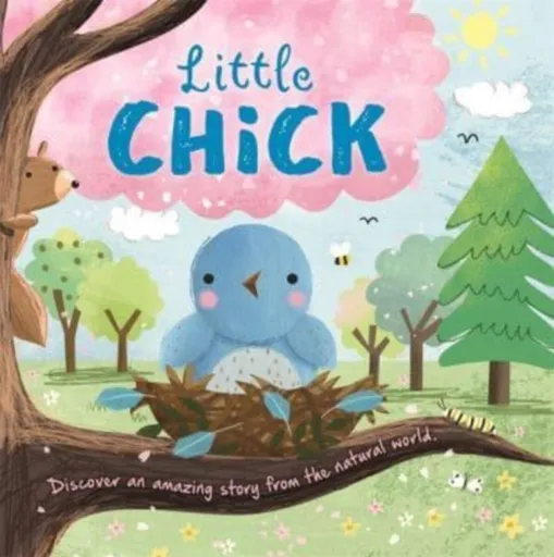 Little Chick - Igloo Books Ltd