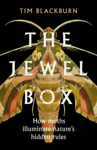 The Jewel Box - Tim Blackburn