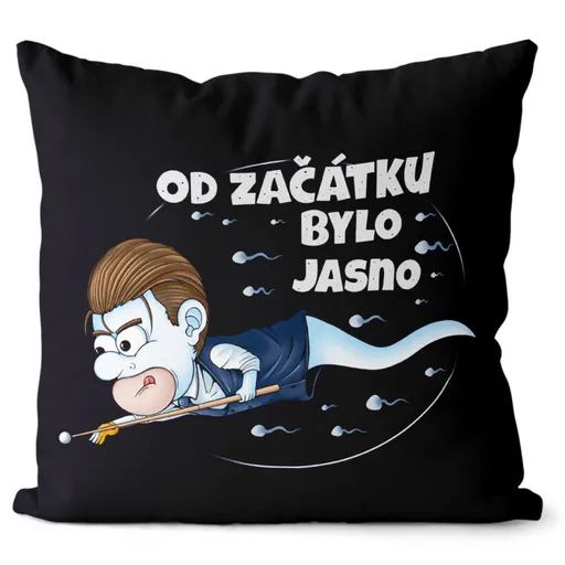 Polštář Kulečníková spermie (Velikost: 55 x 55 cm)