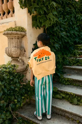 Dětská bavlněná mikina Tinycottons RED DOG GRAPHIC SWEATSHIRT