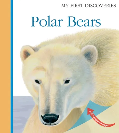 Polar Bears - Laura Bour