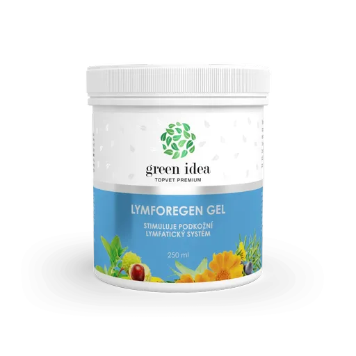 Lymforegen masážní gel 250 ml - Green idea