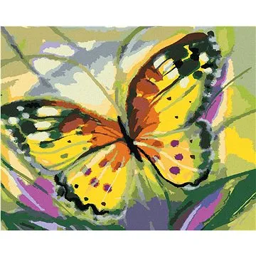 Diamondi - Diamantové malování - MOTÝL ŽLUŤÁSEK, 40x50 cm, bez rámu a bez vypnutí plátna (606747A)