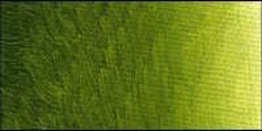 Olejová barva Old Holland 40ml – 298 Old Holland Golden Green Deep