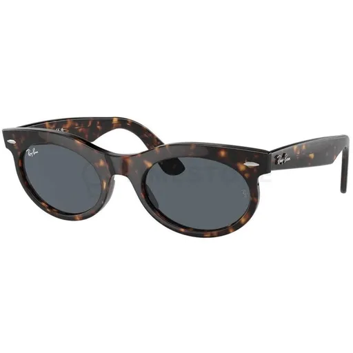Ray-Ban RB2242 902/R5 53