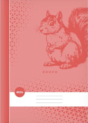 Školní sešit BASE 423x