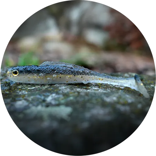 Redbass gumová nástraha ripper kicker bass - l 100 mm