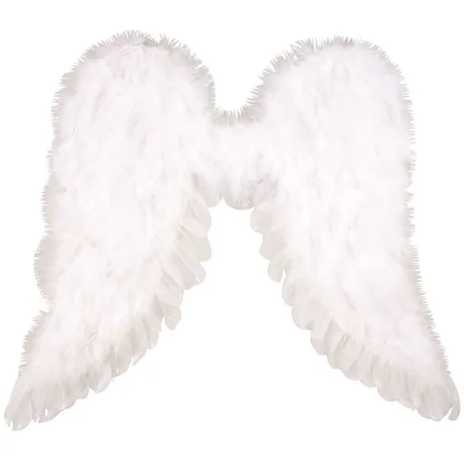 Anděl Přerov Andělská křídla 45 x 39 cm