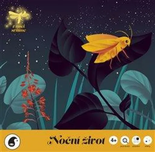 Noční život - Zuzana Šuleková, Ilona Polanski