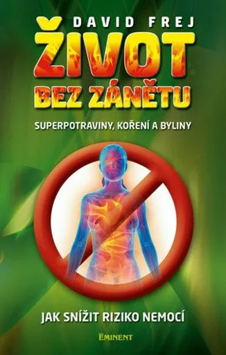 Život bez zánětu - David Frej