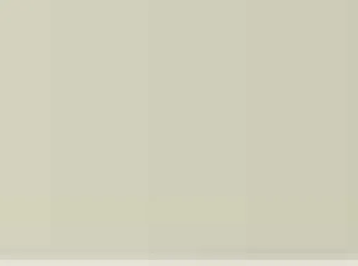 Pastel Caran d'Ache Neocolor I 401 Ash grey metallic