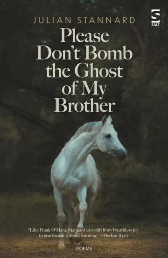 Please Donâ€™t Bomb the Ghost of My Brother - Julian Stannard