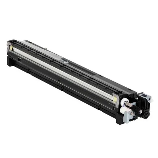 RICOH D1773020 - originální