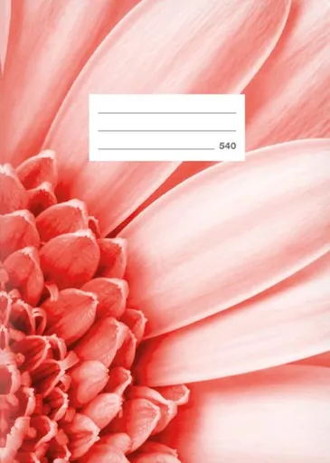 Školní sešit LUX A5 540