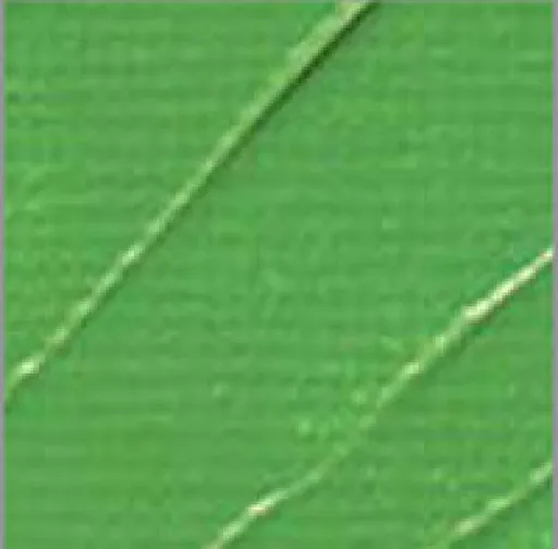 Akrylová barva Pébéo 250ml – 43 cadmium green hue