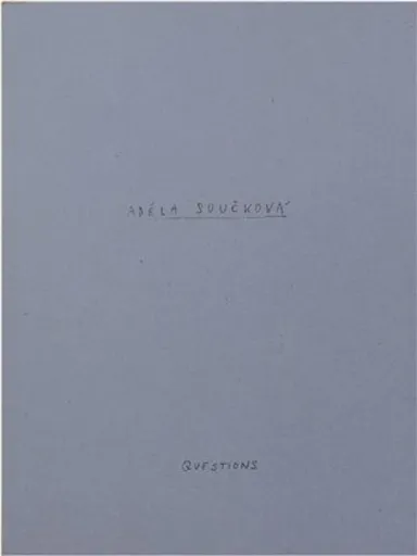 Questions - Adéla Součková