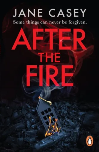 After the Fire - Jane Casey