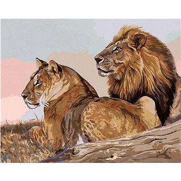 Zuty - Malování podle čísel - LEV A LVICE (AL AGNEW), 80x100 cm, vypnuté plátno na rám (HRAmmb05527nad)