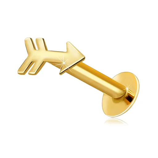 Piercing do rtu a brady ze 14K žlutého zlata - motiv šípu