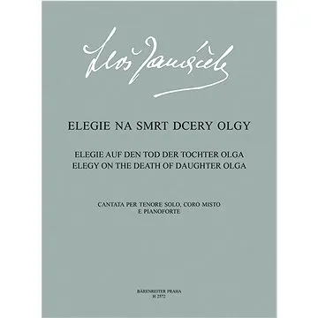 Elegie na smrt dcery Olgy (9790260101425)