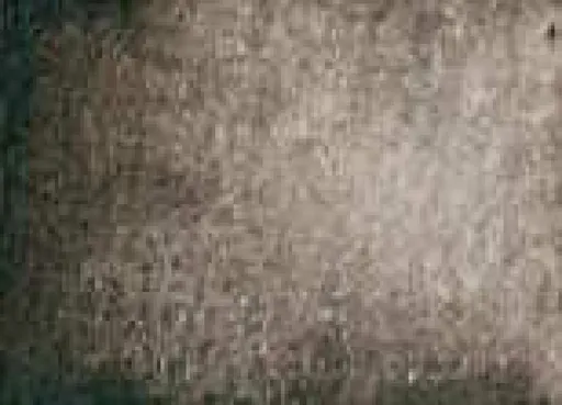 Akvarelová barva DS 5ml – 103 Sepia