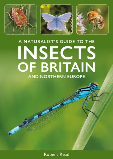 A Naturalist's Guide to the Insects of Britain and Northern Europe - Robert Read