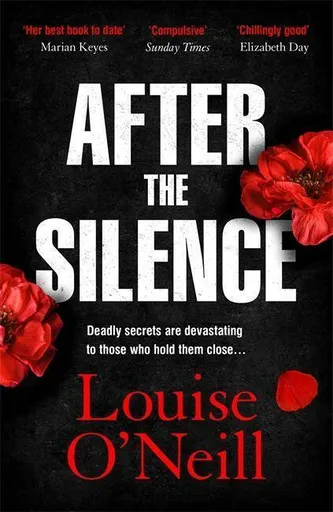 After the Silence - O'Neill Louise