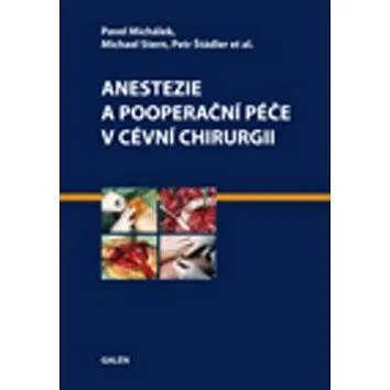 Anestezie a pooperační péče v cévní chirurgii (978-80-7262-891-9)