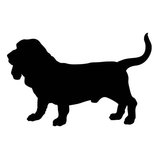 Vsepropejska Mag magnet na lednici ve tvaru psa Plemeno: Baset