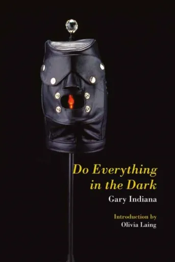 Do Everything in the Dark - Gary Indiana